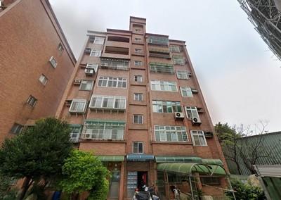 大園法拍華廈-3
