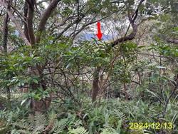 台北公寓法拍-7