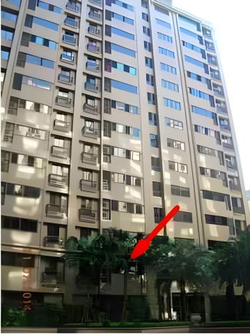 三峽國家教育研究院法拍-1